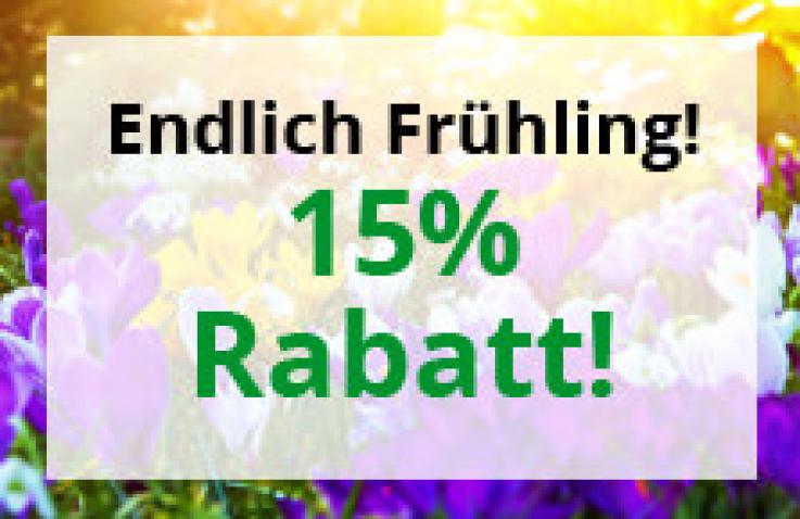 Spring promotion: 15% discount