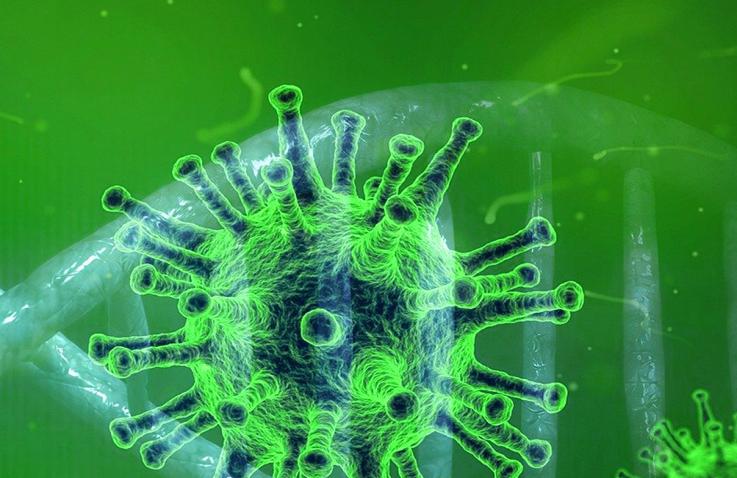 Coronavirus