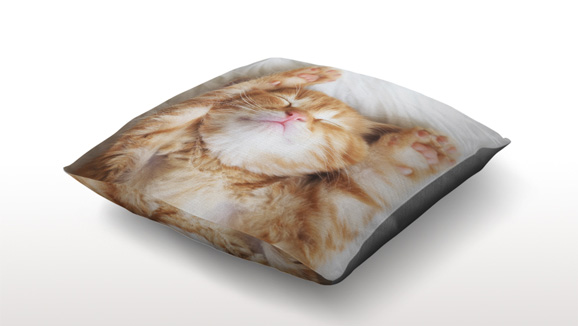 Photo sofa cushion