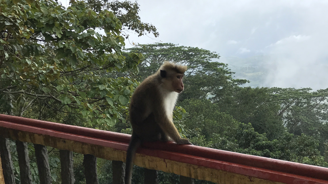 Waisenhaus in Sri Lanka Teil 2