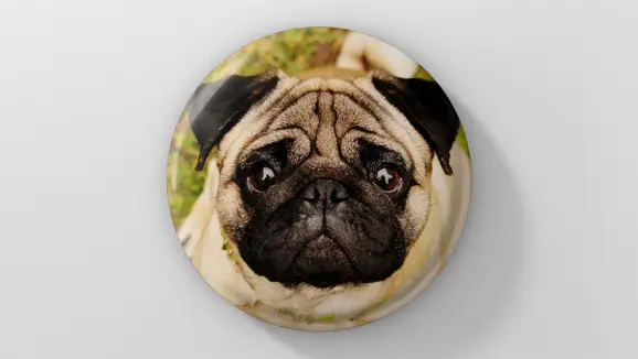 Wenzel Buttons 2 578x326