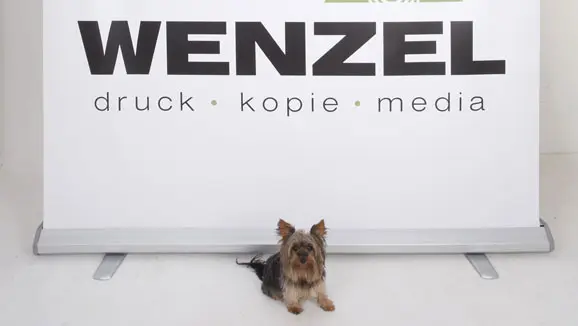 Wenzel Rollup Mega 2 578x326
