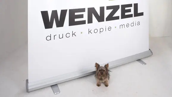 Wenzel Rollup Mega 5 578x326